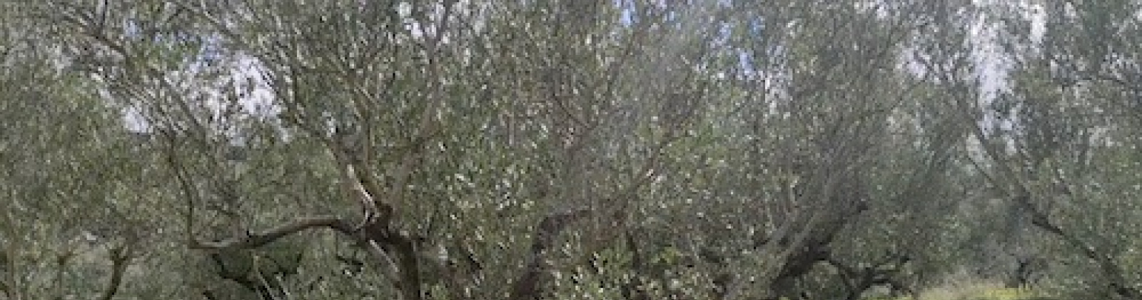 Kolimvari, Platanias, 73100, 3 Bedrooms Bedrooms, ,1 BathroomBathrooms,Willa/Dom,Na sprzedaż,1001