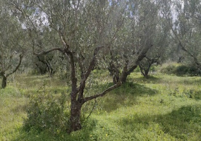 Kolimvari, Platanias, 73100, 3 Bedrooms Bedrooms, ,1 BathroomBathrooms,Willa/Dom,Na sprzedaż,1001