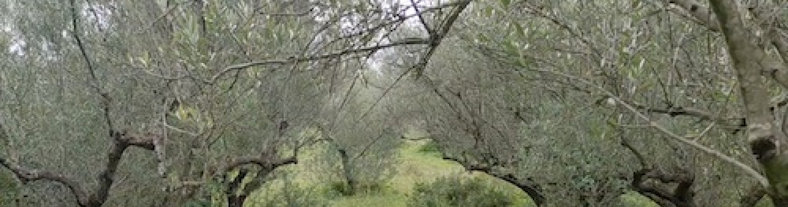 Kolimvari, Platanias, 73100, 3 Bedrooms Bedrooms, ,1 BathroomBathrooms,Willa/Dom,Na sprzedaż,1001